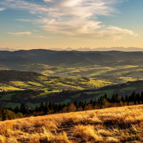 widok na tatry z ćwilina, beskid wyspowy widok na tatry z ćwilina, beskid wyspowy