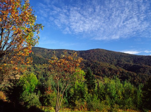 Turnus w Beskidzie Wyspowym 7 dni - obrazek 3